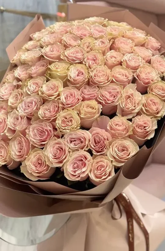 Elegant Bouquet of 50 Blush Pink Roses